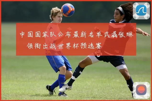 中国国家队公布最新名单武磊张琳芃领衔出战世界杯预选赛