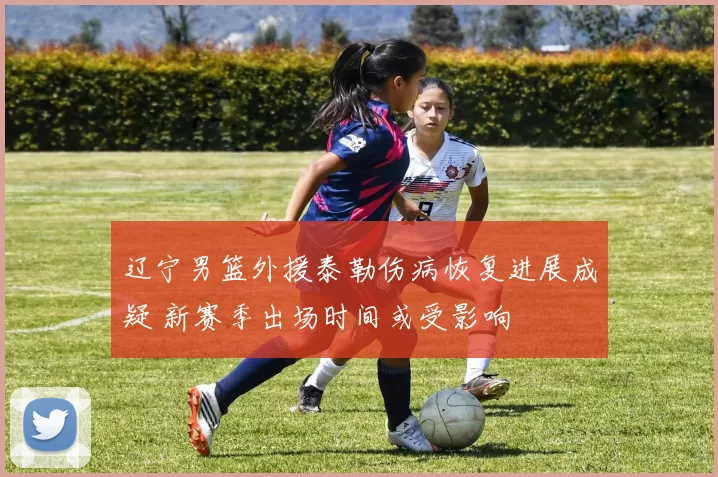 辽宁男篮外援泰勒伤病恢复进展成疑 新赛季出场时间或受影响