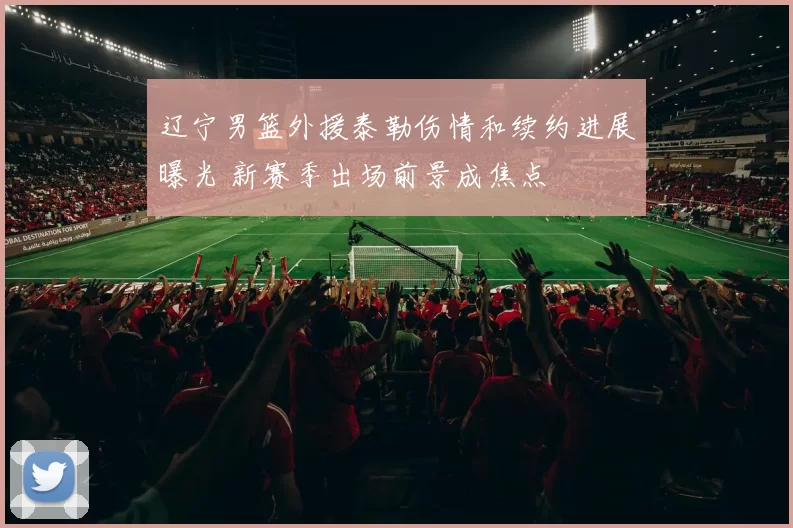辽宁男篮外援泰勒伤情和续约进展曝光 新赛季出场前景成焦点
