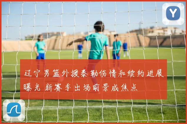 辽宁男篮外援泰勒伤情和续约进展曝光 新赛季出场前景成焦点