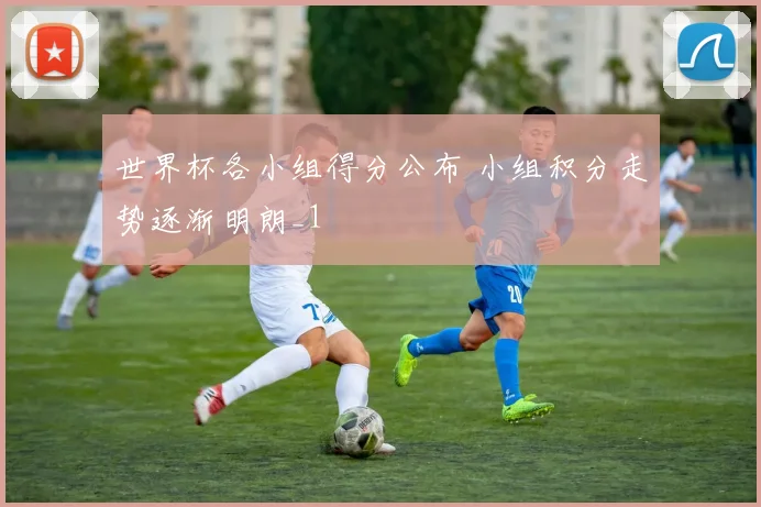 世界杯各小组得分公布 小组积分走势逐渐明朗_1